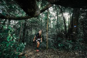 BIB: 
                            <button type="button" onclick="openModal(25390200)" class="btn btn-primary btn-sm float-right btn-popup" data-toggle="modal" data-target=".modal-high-quality">
                        <i class="fas fa-shopping-cart"></i> Add to Cart
                    </button>
                                            <button type="button" onclick="isThisMe(25390200, true)" class="btn btn-success btn-sm float-right btn-popup btn-isme hidden" data-toggle="tooltip" data-placement="bottom" title="นี่คือรูปของคุณใช่ไหม คลิกที่นี่เพื่อเอาเข้าอัลบั้ม">
                        <i class="fas fa-plus"></i> Add to album
                    </button>
                    <button type="button" onclick="isThisMe(25390200, false)" class="btn btn-warning btn-sm float-right btn-popup btn-isnotme hidden">
                        <i class="fas fa-ban"></i> Remove from album
                    </button>